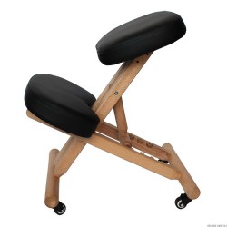 Siège ergonomique Siège ergonomique