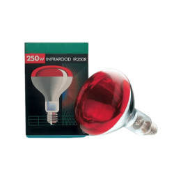 Ampoule Infrarouge 250 W IR