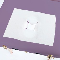 Serviettes non-tissées avec fente nasale x 100