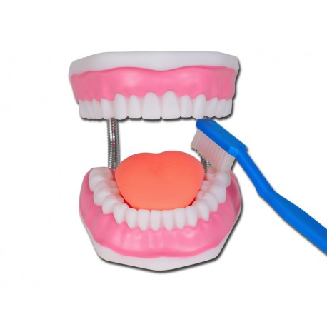 Value Hygiène Buccale - 3X