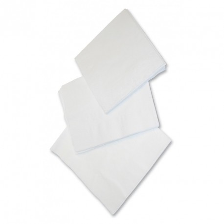 Serviettes blanches 30x30 cm 2 plis x 2400