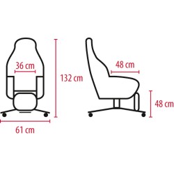 Fauteuil à pousser LIBERTY e II – 1 moteur Fauteuil à pousser LIBERTY e II – 1 moteur