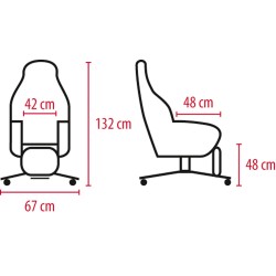 Fauteuil à pousser LIBERTY e II – 1 moteur Fauteuil à pousser LIBERTY e II – 1 moteur