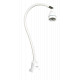 Lampe led CARLA 25 ° 3 W