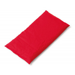 COUSSIN NOYAUX DE CERISE CHERRY