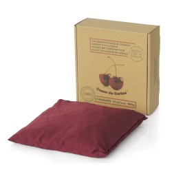 Coussin cœur de cerise Coussin cœur de cerise