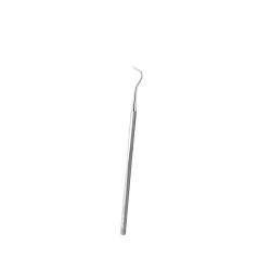 Sonde Rhein Sonde Rhein