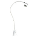 Lampe halogène TINA, 20w